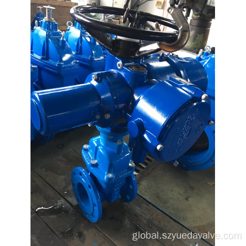 Resilient Seated Gate Valve Electric Gate Valve DIN/BS Double Flange Non-Rising Stem Factory